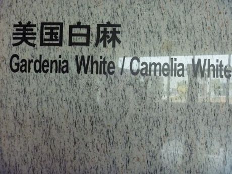 Gardenia white